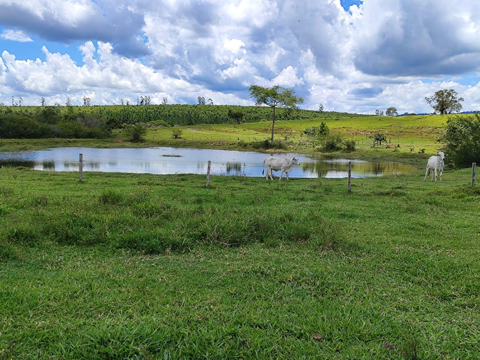 Fazenda à venda, Área Rural de Botucatu, Botucatu, SP