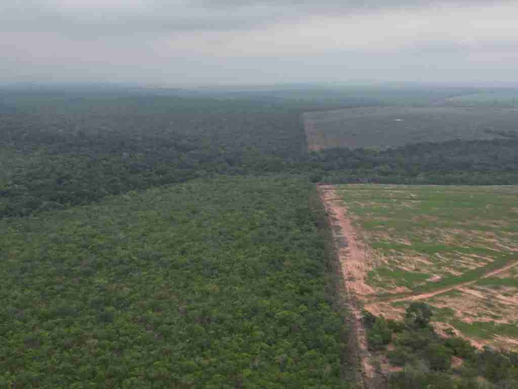 Fazenda 3000 hectares à venda , área plana, casa sede, barracão, poço artesiano, internet e 63 km da cidade de Campos de Julio MT