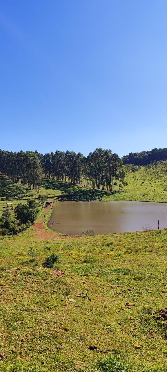 Fazenda à venda, Área Rural de Pardinho, Pardinho, SP