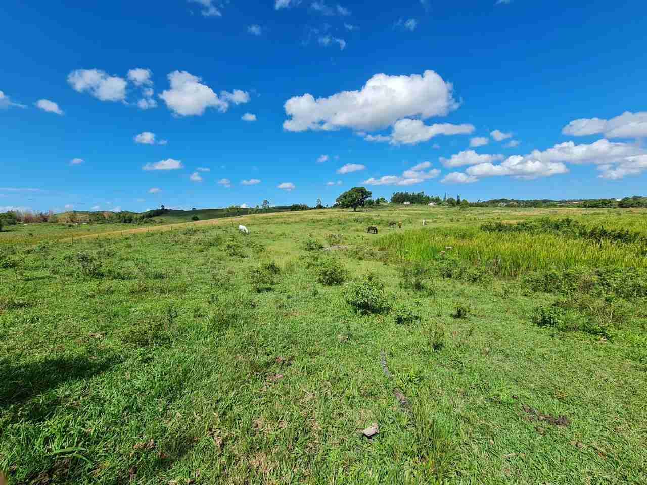 Fazenda à Venda, sao vicente, Araruama, RJ