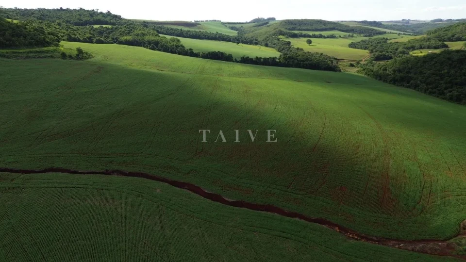 Imagens do imóveis Fazenda/Sítios/Chácaras À Venda São Luiz Londrina