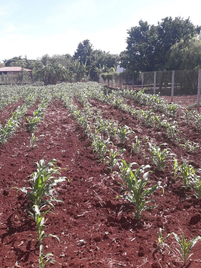 Imagens do imóveis ESTÂNCIA FAVORETTO CHACARA COM 2040M2 VALOR DE OPORTUNIDADE ACEITA PERMUTA