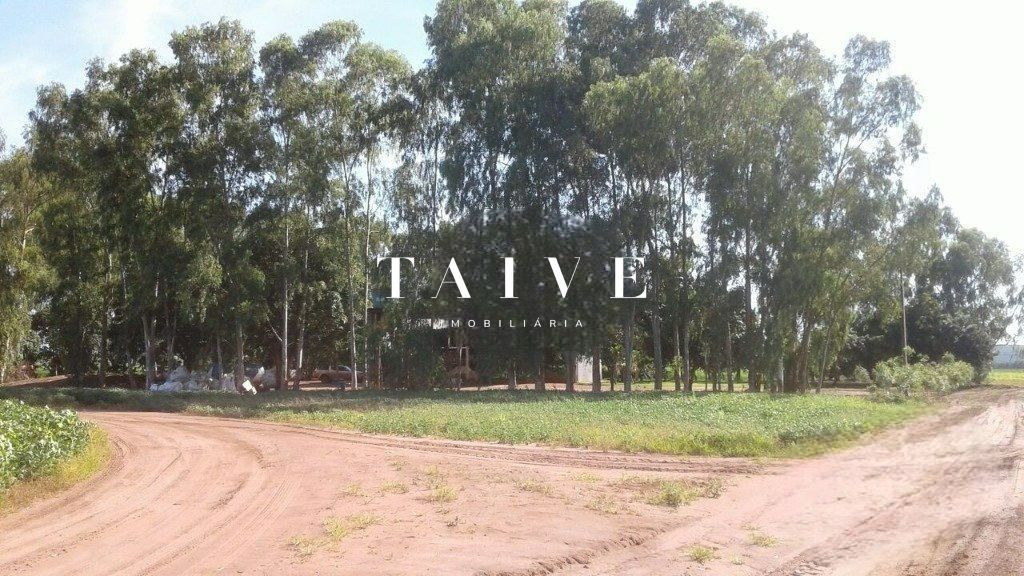 Fazenda 850 hectares à venda, em Sapezal MT, plantio soja e milho plana e mecanizável, com infraestrutura