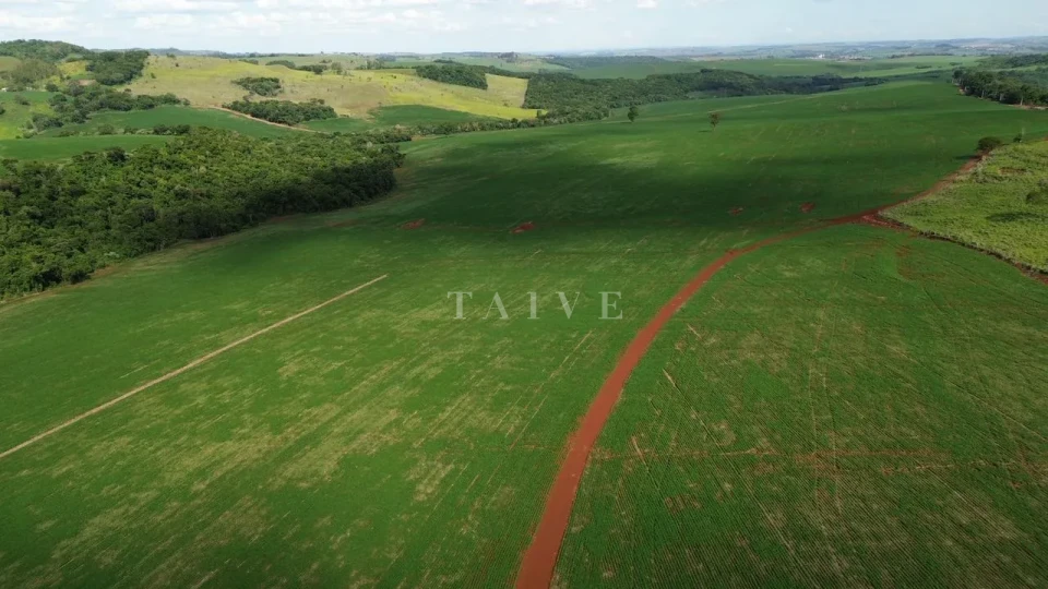 Imagens do imóveis Fazenda/Sítios/Chácaras À Venda São Luiz Londrina