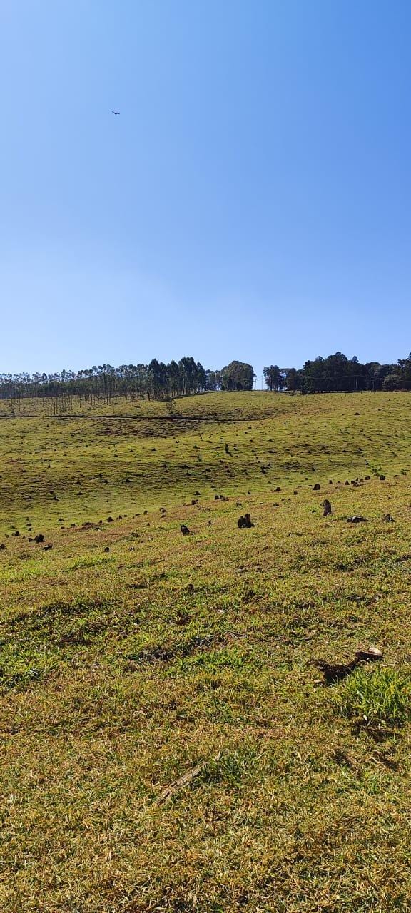 Fazenda à venda, Área Rural de Pardinho, Pardinho, SP