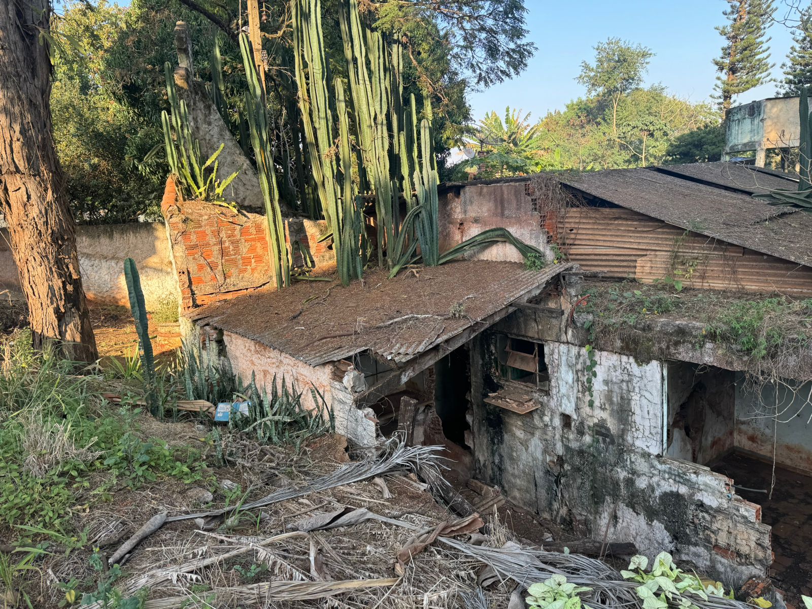Terreno à venda, 3.700 m², Londrina, PR