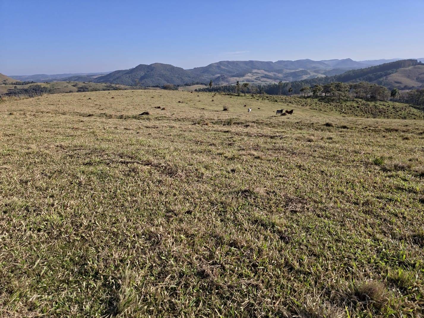 Fazenda à venda, Área Rural de Capão Bonito, Capão Bonito, SP