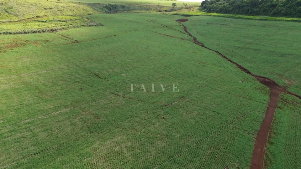 Imagens do imóveis Fazenda/Sítios/Chácaras À Venda São Luiz Londrina