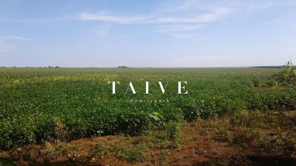 Fazenda 850 hectares à venda, em Sapezal MT, plantio soja e milho plana e mecanizável, com infraestrutura