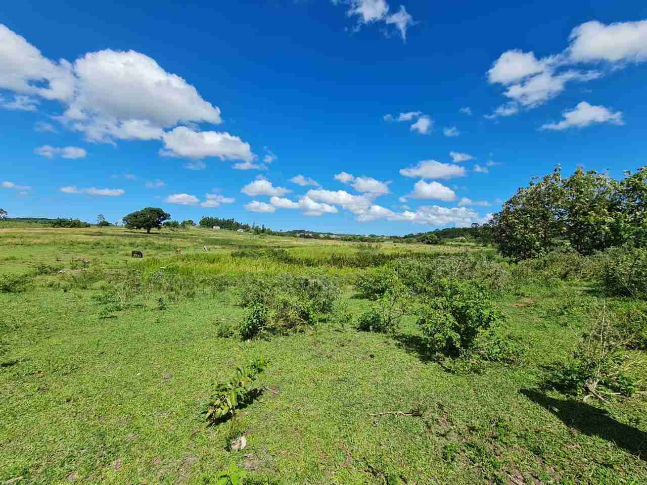 Fazenda à Venda, sao vicente, Araruama, RJ