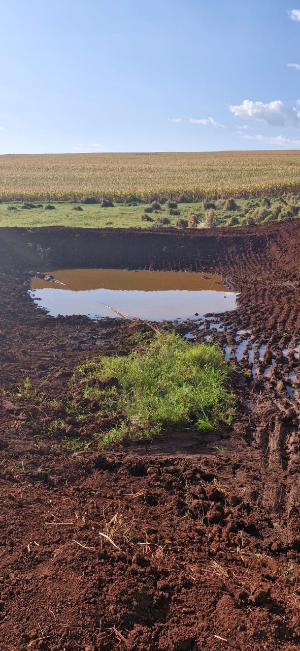 Fazenda à Venda, 102 alqueires, pastagem e plantio, com casas sede, funcionários e Colonia, barracões- região de Bandeirantes, PR