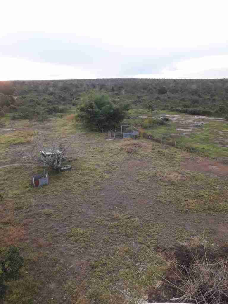 Fazenda 3000 hectares à venda , área plana, casa sede, barracão, poço artesiano, internet e 63 km da cidade de Campos de Julio MT