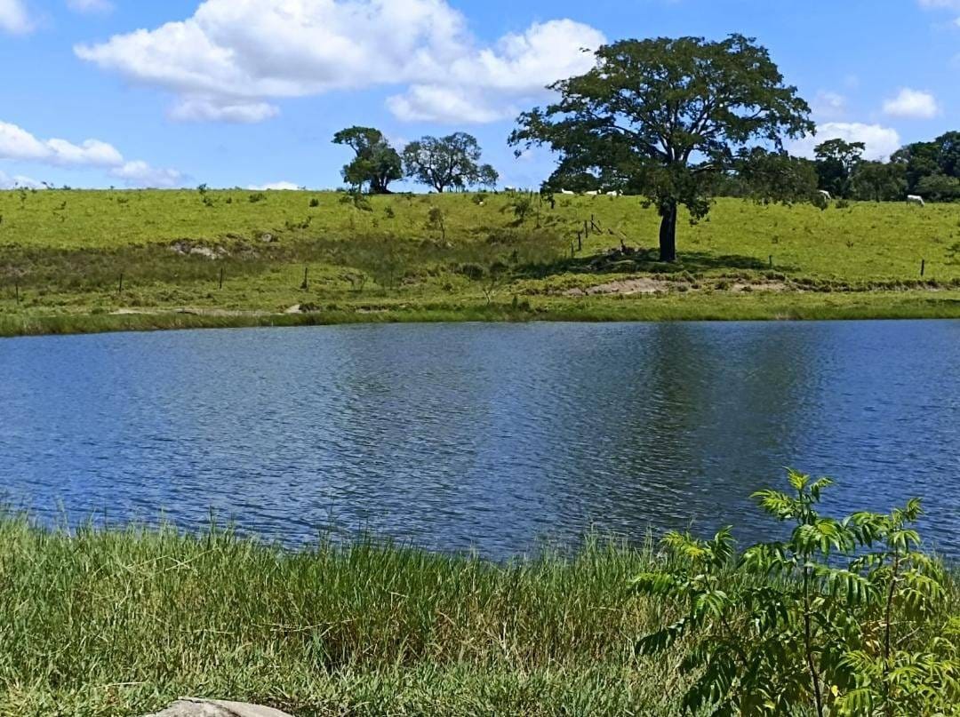 Fazenda à venda, Área Rural de Botucatu, Botucatu, SP
