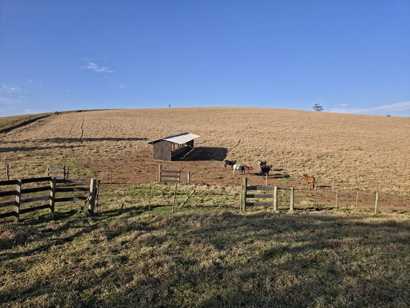 Fazenda à venda, Área Rural de Capão Bonito, Capão Bonito, SP