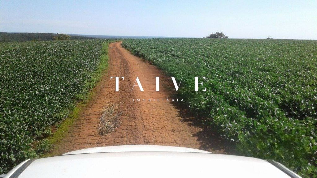 Fazenda 850 hectares à venda, em Sapezal MT, plantio soja e milho plana e mecanizável, com infraestrutura