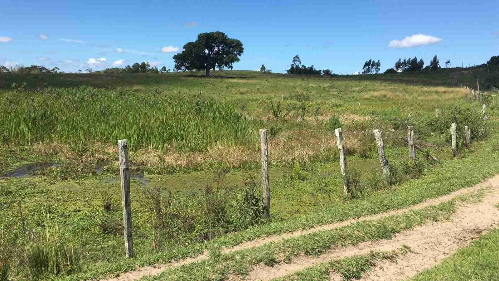 Fazenda à Venda, sao vicente, Araruama, RJ