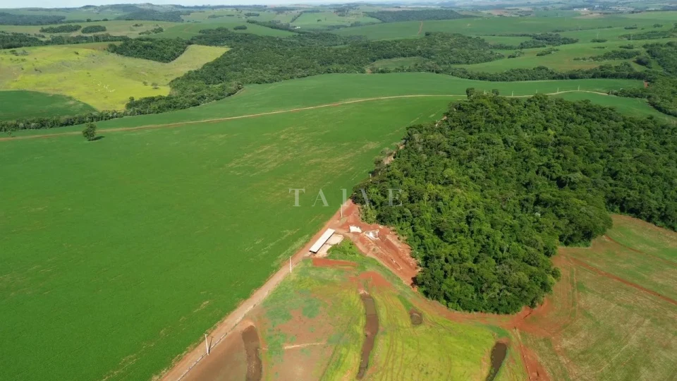 Imagens do imóveis Fazenda/Sítios/Chácaras À Venda São Luiz Londrina