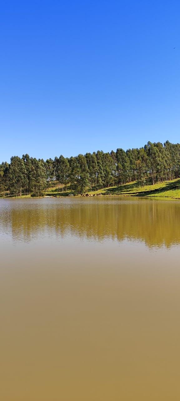 Fazenda à venda, Área Rural de Pardinho, Pardinho, SP