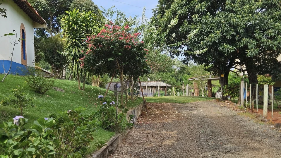 Lindo sitio - região sul de Londrina - 22,42 alqueires paulista.