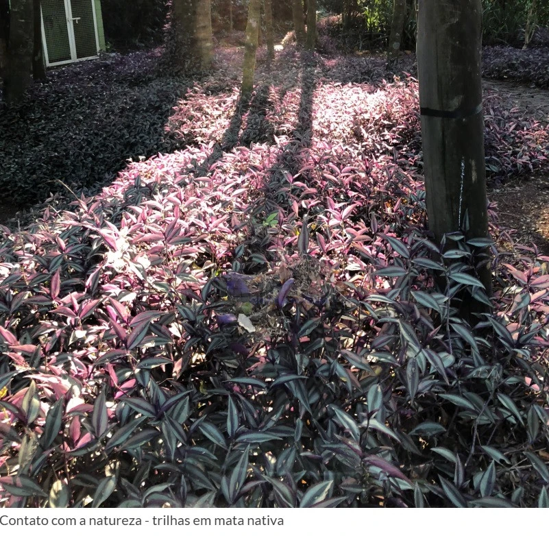 RESIDENCIA TÉRREA PARA LOCAÇÃO - ROYAL FOREST RESIDENCE & RESORT