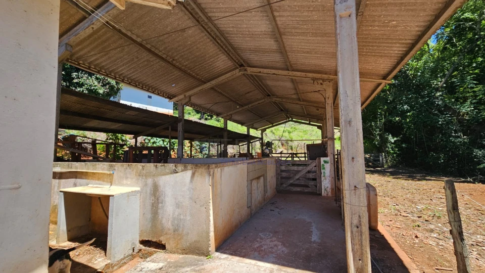 Lindo sitio - região sul de Londrina - 22,42 alqueires paulista.