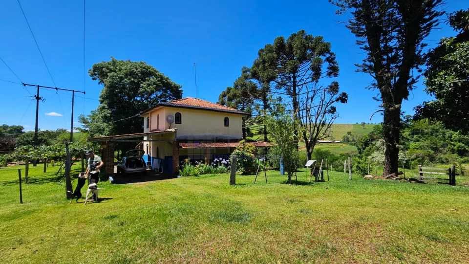 Lindo sitio - região sul de Londrina - 22,42 alqueires paulista.