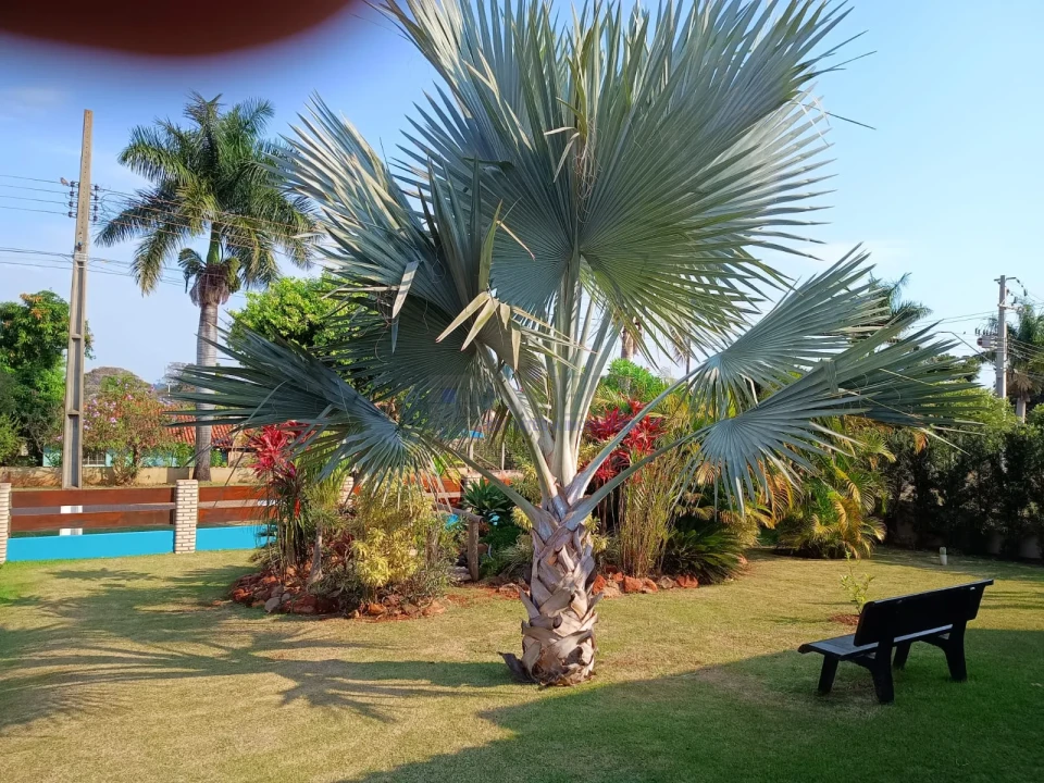 BELÍSSIMA CHÁCARA NO RIVIERA DO POENTE