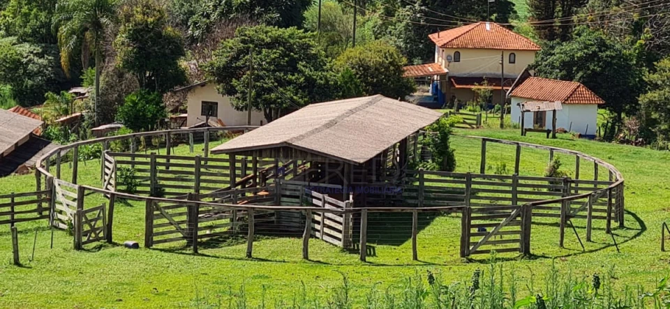 Lindo sitio - região sul de Londrina - 22,42 alqueires paulista.