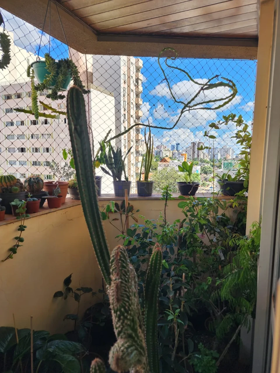 Apartamento À Venda Residencial Orleans Londrina