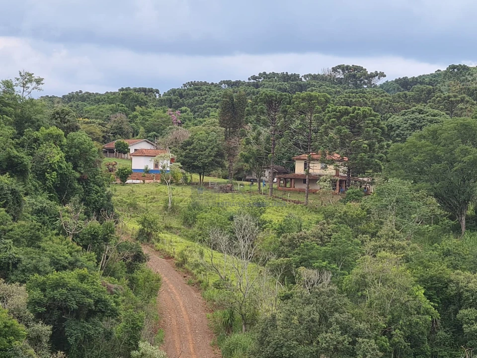 Lindo sitio - região sul de Londrina - 22,42 alqueires paulista.