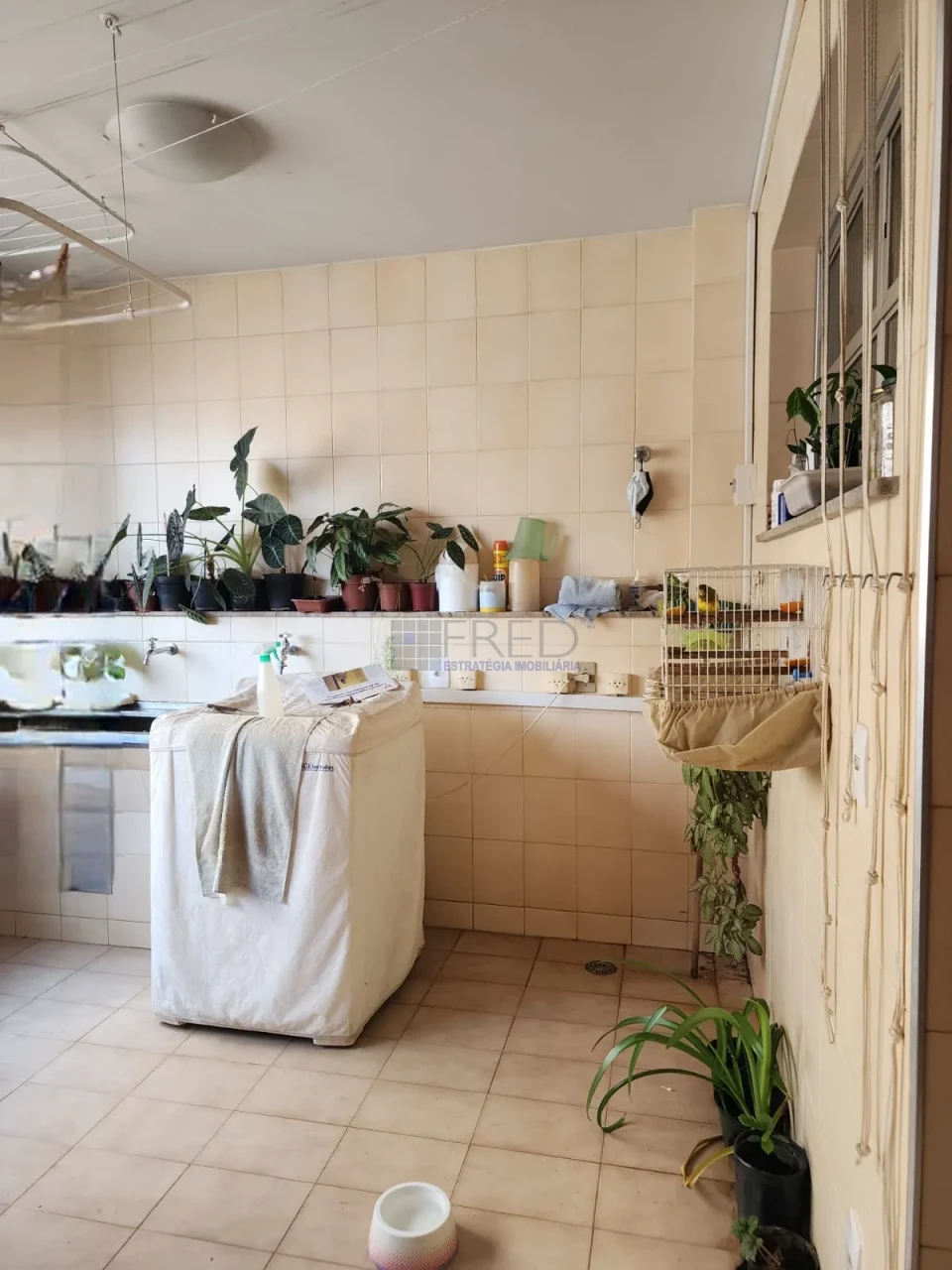 Apartamento À Venda Residencial Orleans Londrina