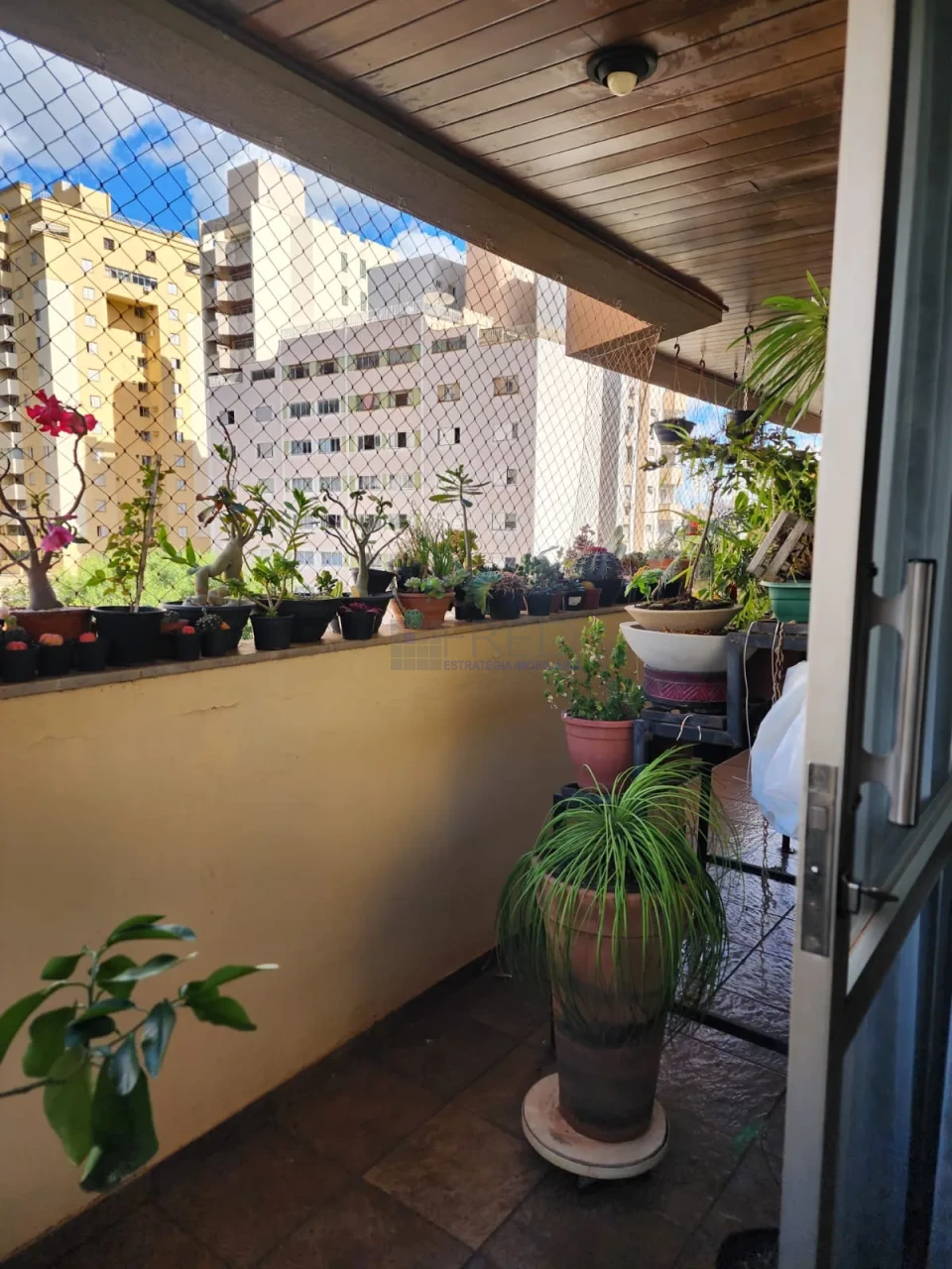 Apartamento À Venda Residencial Orleans Londrina