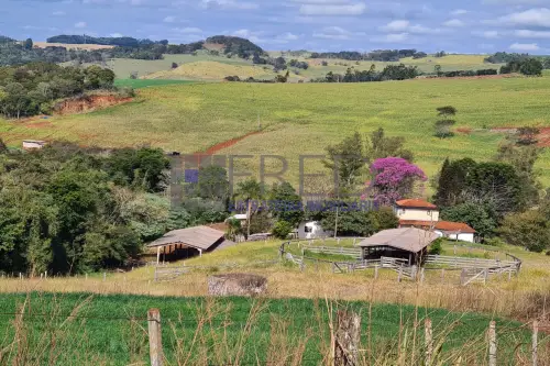 Lindo sitio - região sul de Londrina - 22,42 alqueires paulista.