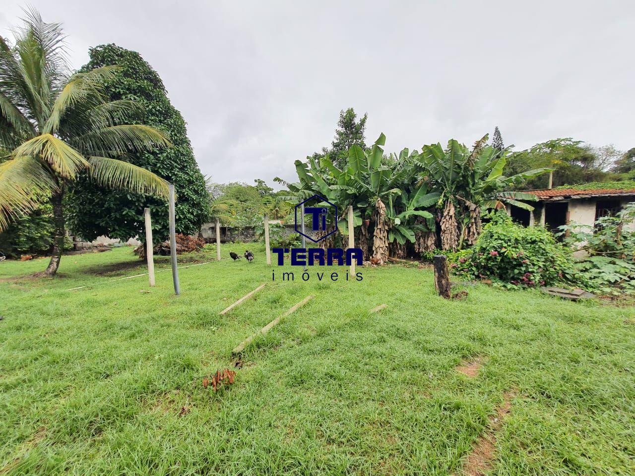 Imagens do imóveis Belo sítio em Itaboraí, com piscina, espaço de churrasqueira e casa de caseiro!