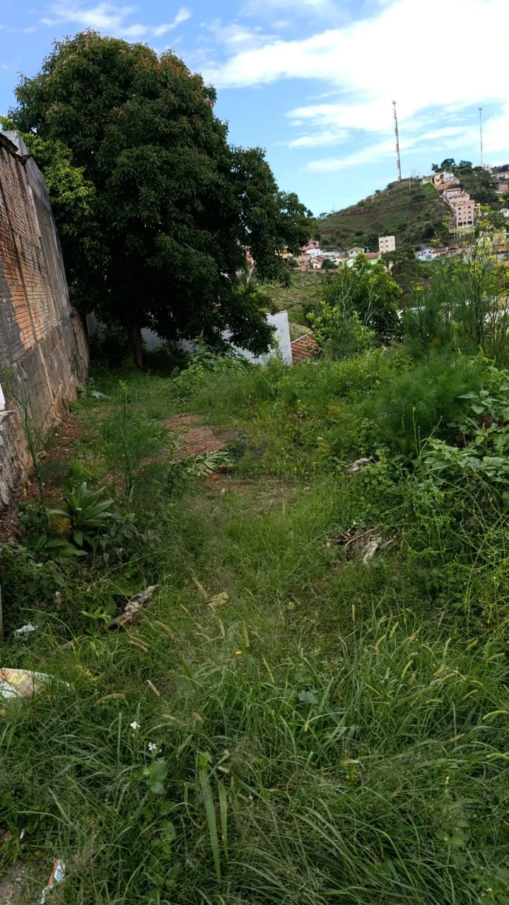 Terreno À Venda Estância São José Poços De Caldas
