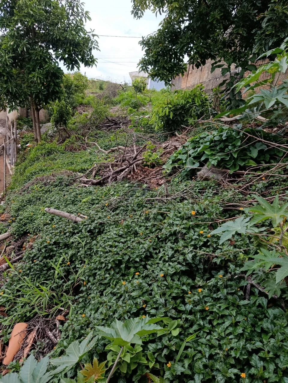 Terreno À Venda Estância São José Poços De Caldas