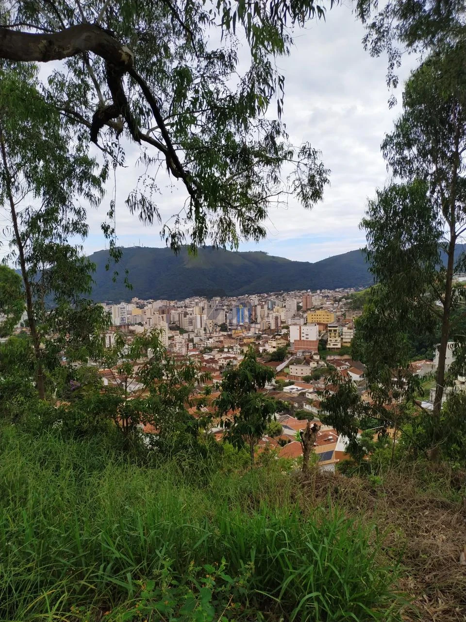 Terreno À Venda Jardim Del Rey Poços De Caldas