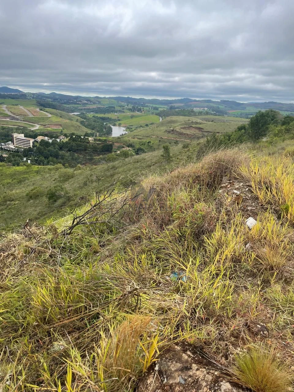 Terreno À Venda Jardim Bandeirantes Poços De Caldas