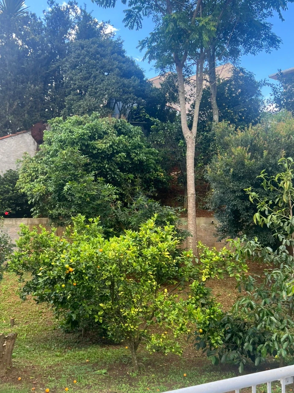 Casa À Venda Parque Primavera Poços De Caldas