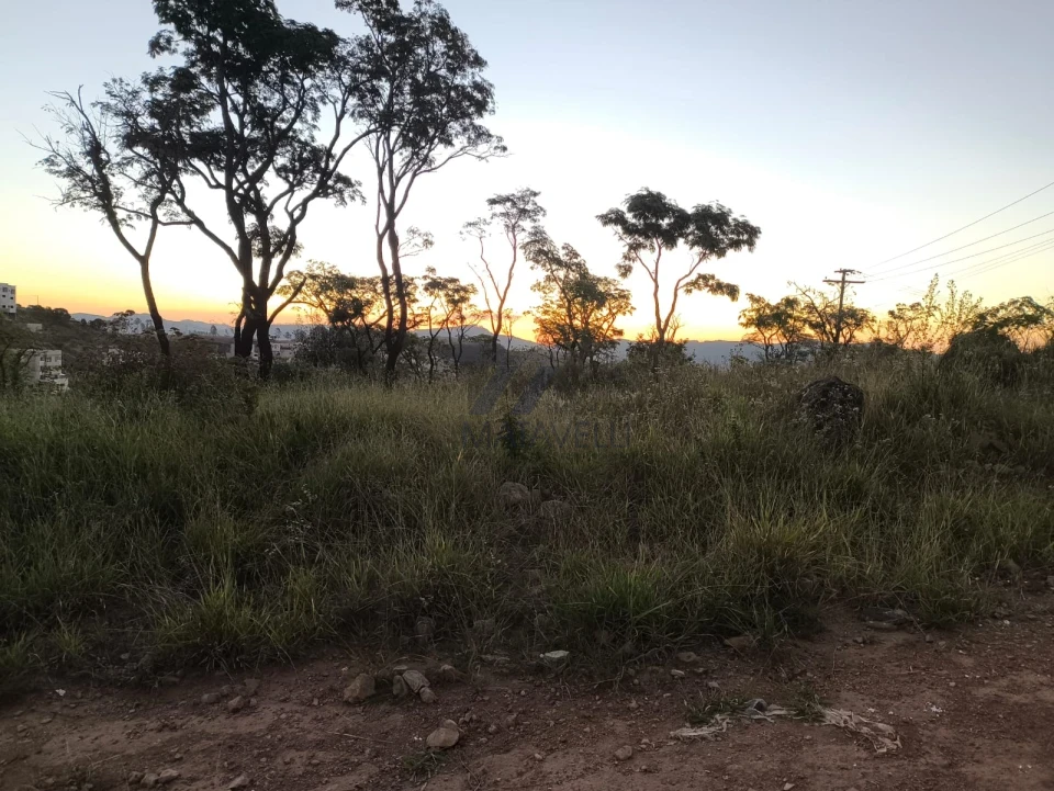 Terreno À Venda Jardim Bandeirantes Poços De Caldas