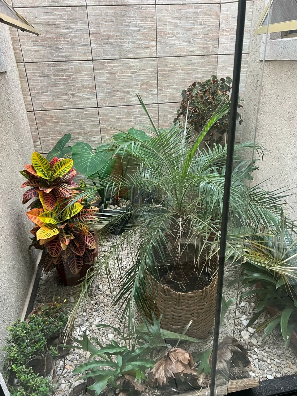 Casa À Venda Residencial Santa Clara Poços De Caldas