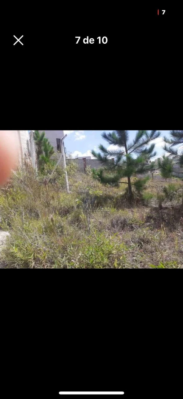 Terreno À Venda Parque San Carlo Poços De Caldas