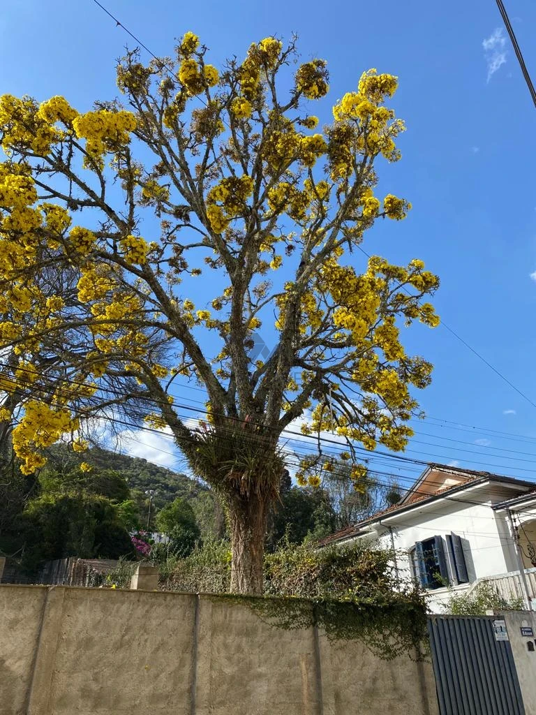 Apartamento À Venda Vila Nossa Senhora De Fátima Poços De Caldas
