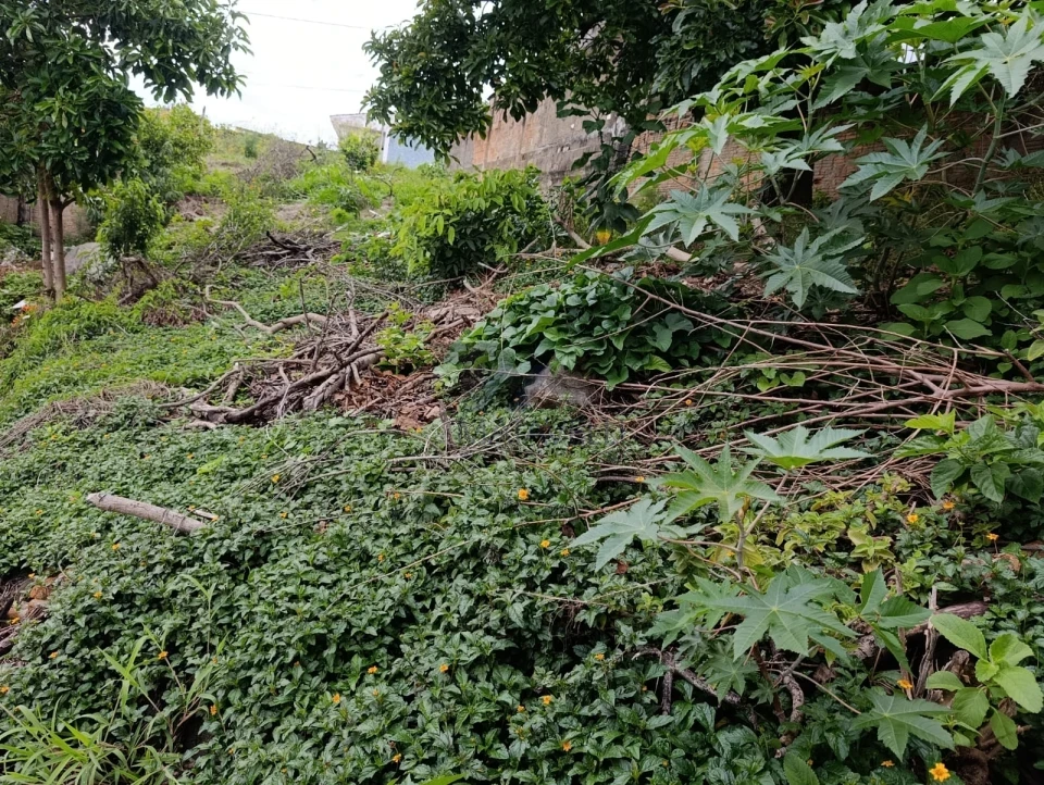 Terreno À Venda Estância São José Poços De Caldas