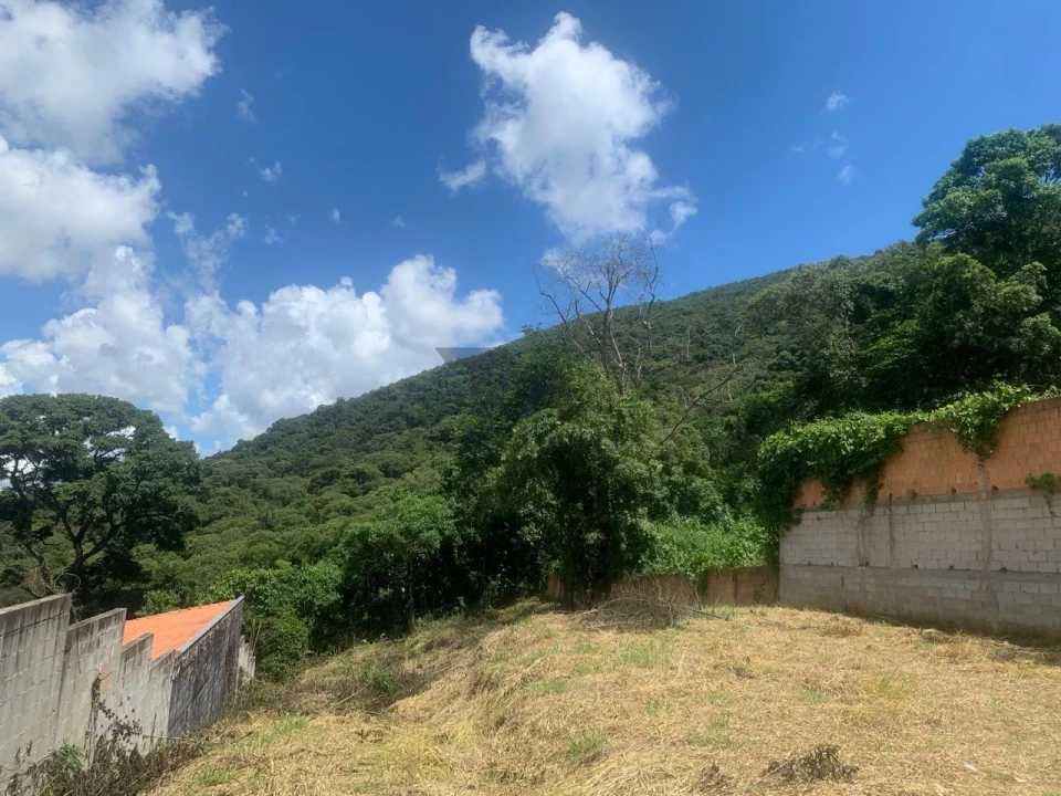 Terreno À Venda Laranjeiras De Caldas Caldas