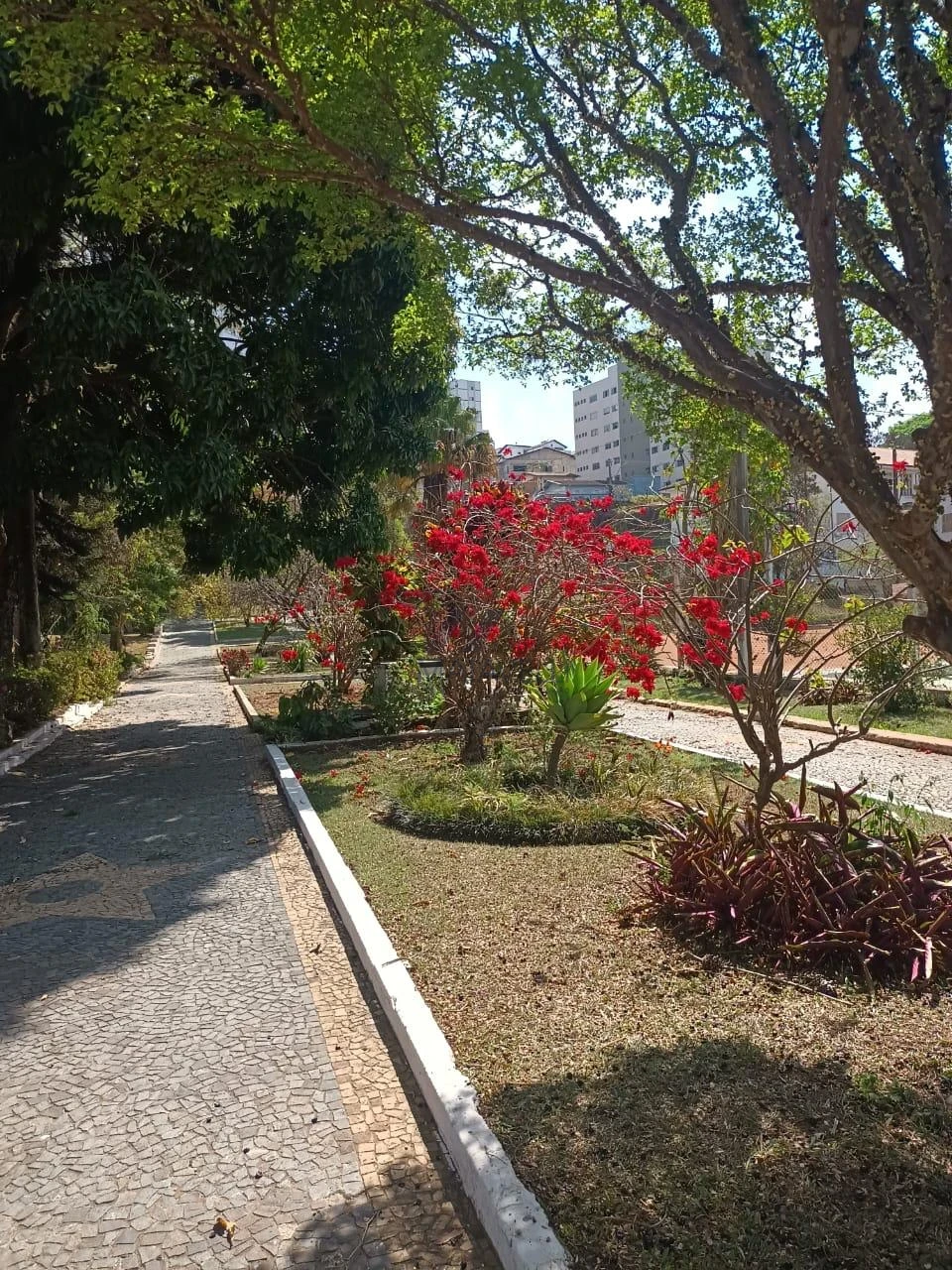 Apartamento À Venda Jardim Quisisana Poços De Caldas