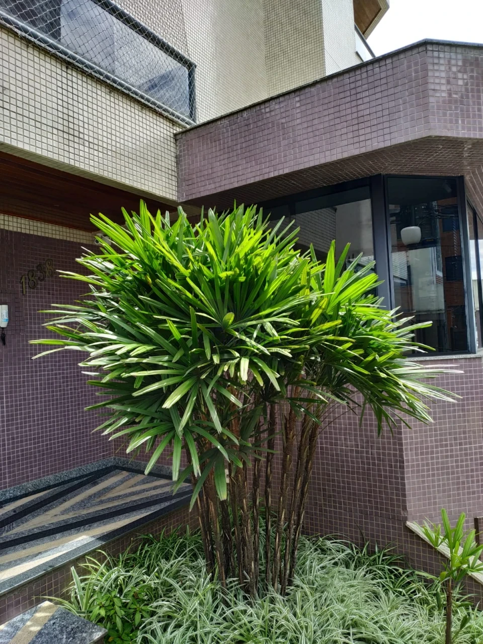 Imagens do imóveis Apartamento À Venda Centro Poços De Caldas