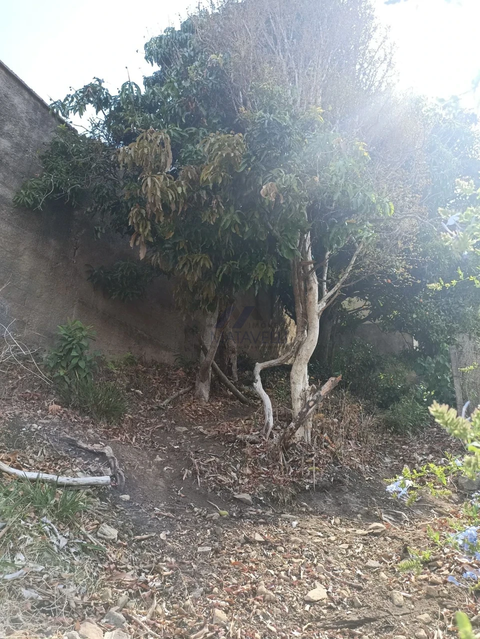 Casa À Venda Santa Ângela Poços De Caldas