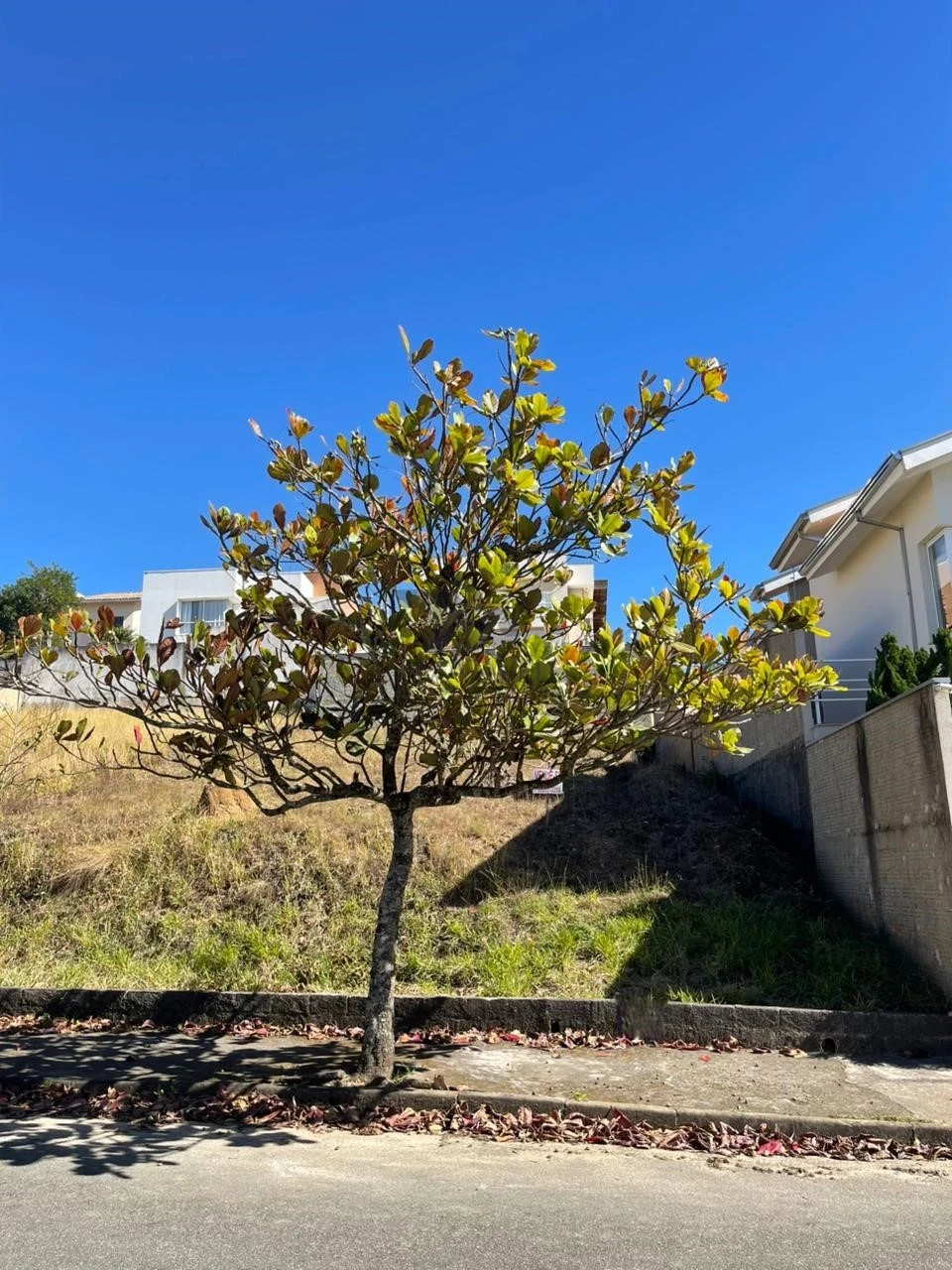 Terreno À Venda Jardim Europa Poços De Caldas
