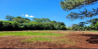 Área para incorporação em Rolandia Imagens do imóveis Área para incorporação em Rolandia